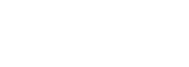 Sapient Logo